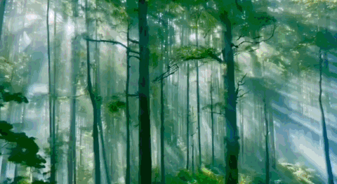 Building AI WebTV - Versa AI hub